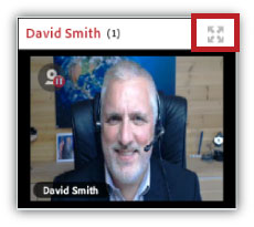 on demand Adobe Connect recordings - expand webcam